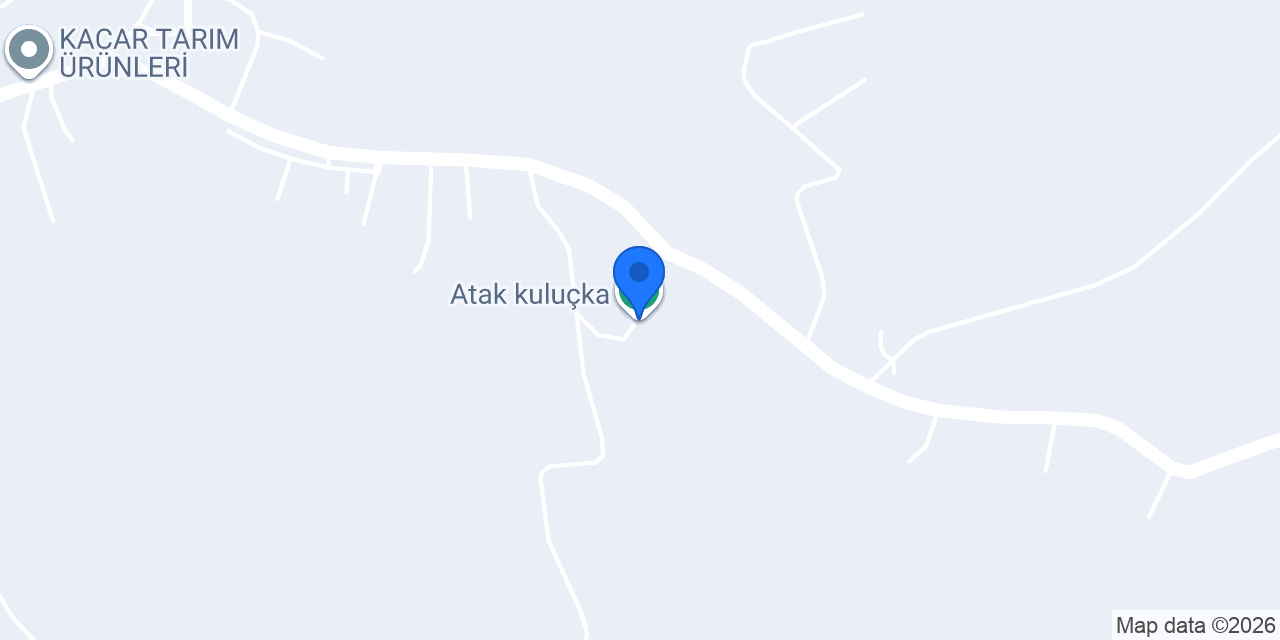 Atak kuluçka konumu