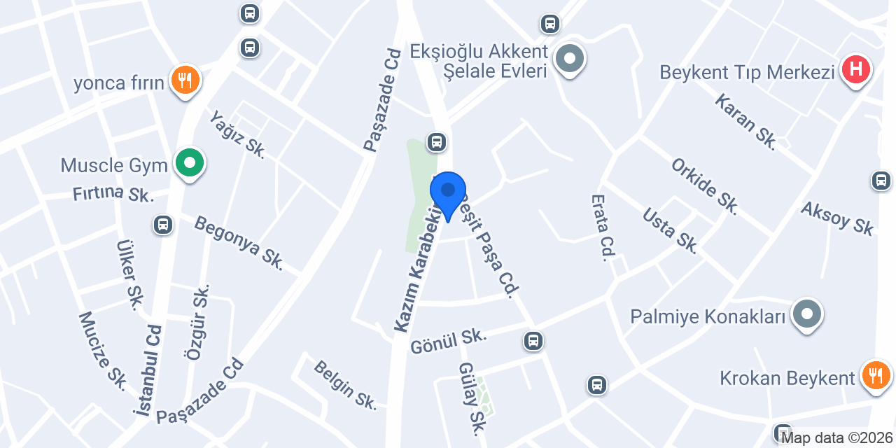 EXPRESS TAKSİ konumu