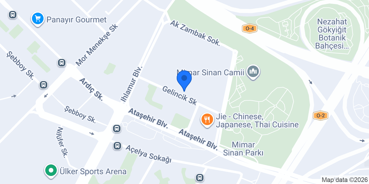 Formist Fizik Tedavi konumu