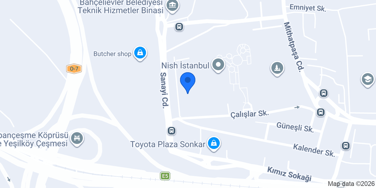 ALİO Proje Yönetim konumu
