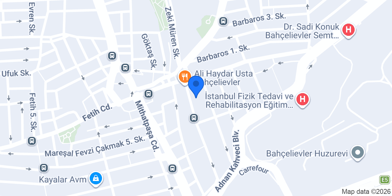 LİON GARAGE konumu