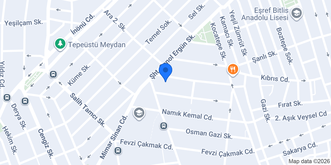 YildizProjectAI konumu