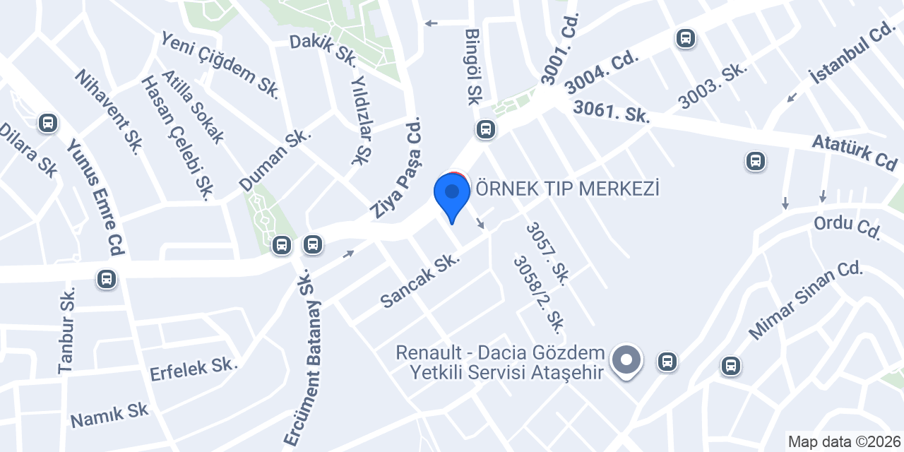 Domino's Pizza Mustafa Kemal konumu