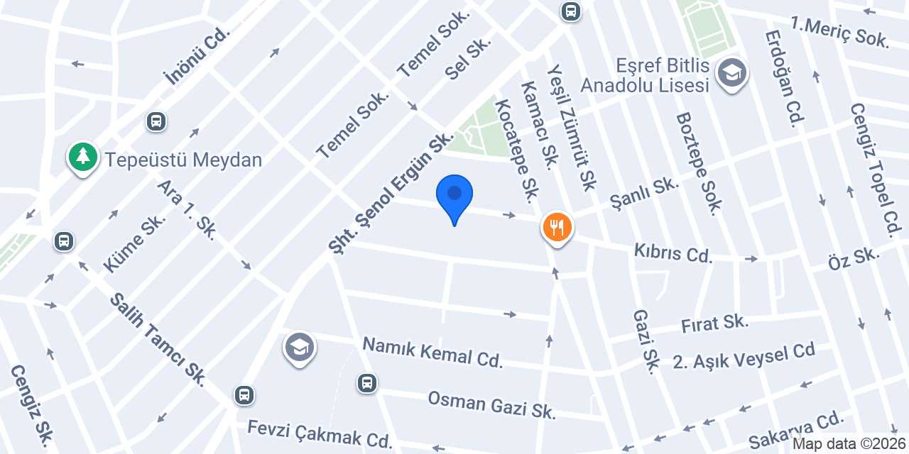 استئجار سيارة مع سائق في اسطنبول konumu