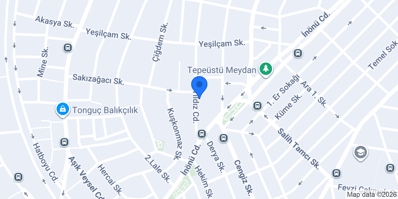 Bade Kuruyemiş konumu