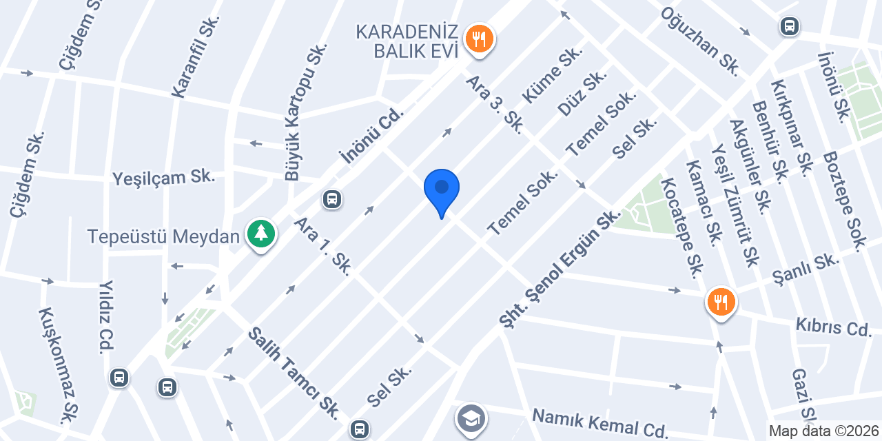 TERZİ Dilek konumu