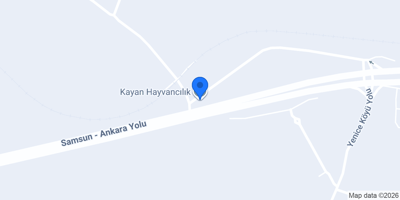 Kayan Hayvancılık konumu