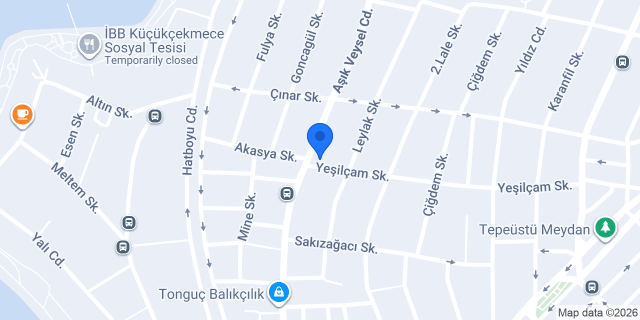 Kalem Kur'ân konumu