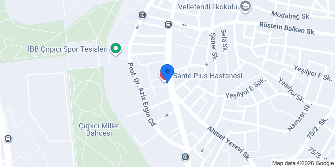 Sante Plus Group Payments konumu