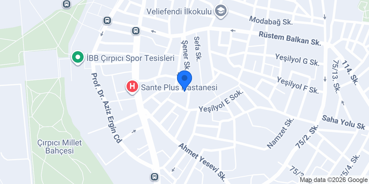 Zeytin Terzi konumu