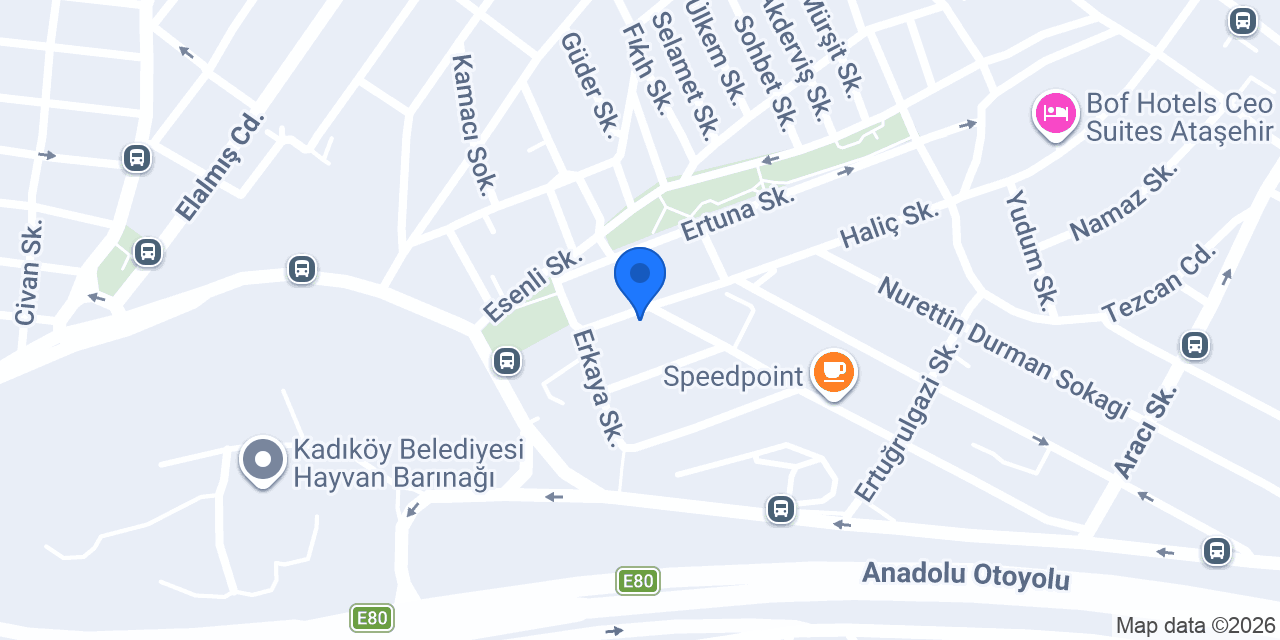 Again Data Uluslararası Ticaret Danışmanlığı Ltd. Şti. konumu
