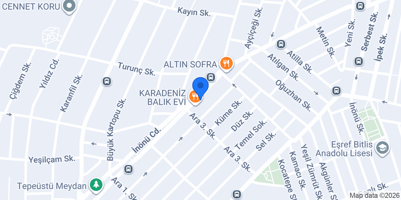 PİZZALiVE konumu