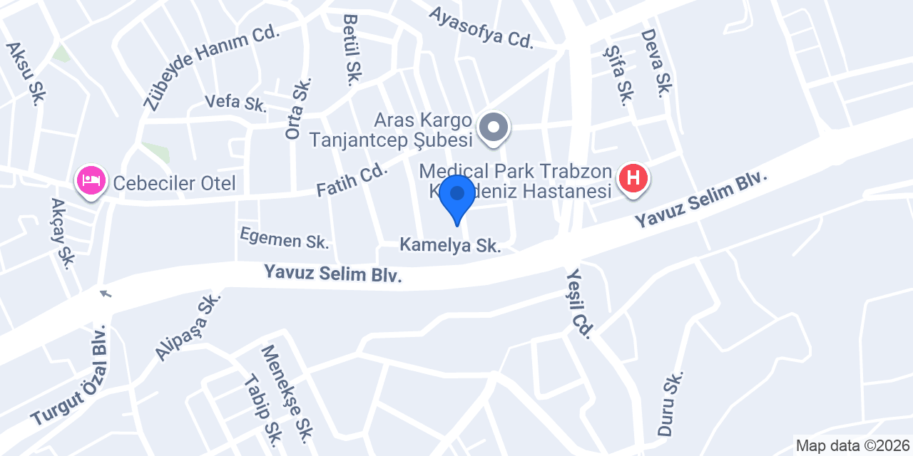 TRABZON AKD İLAÇLAMA konumu