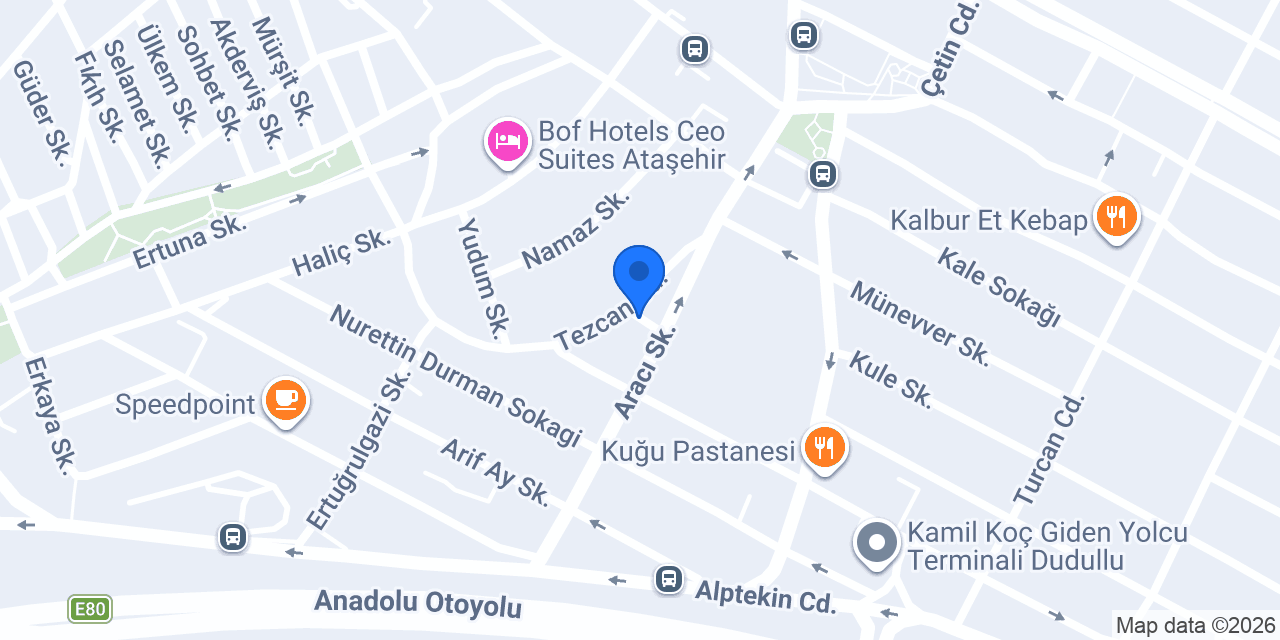 Kybele Psikoloji konumu