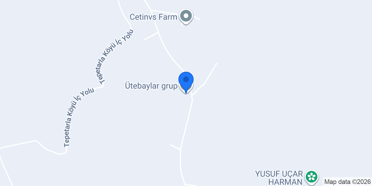 Ütebaylar grup konumu