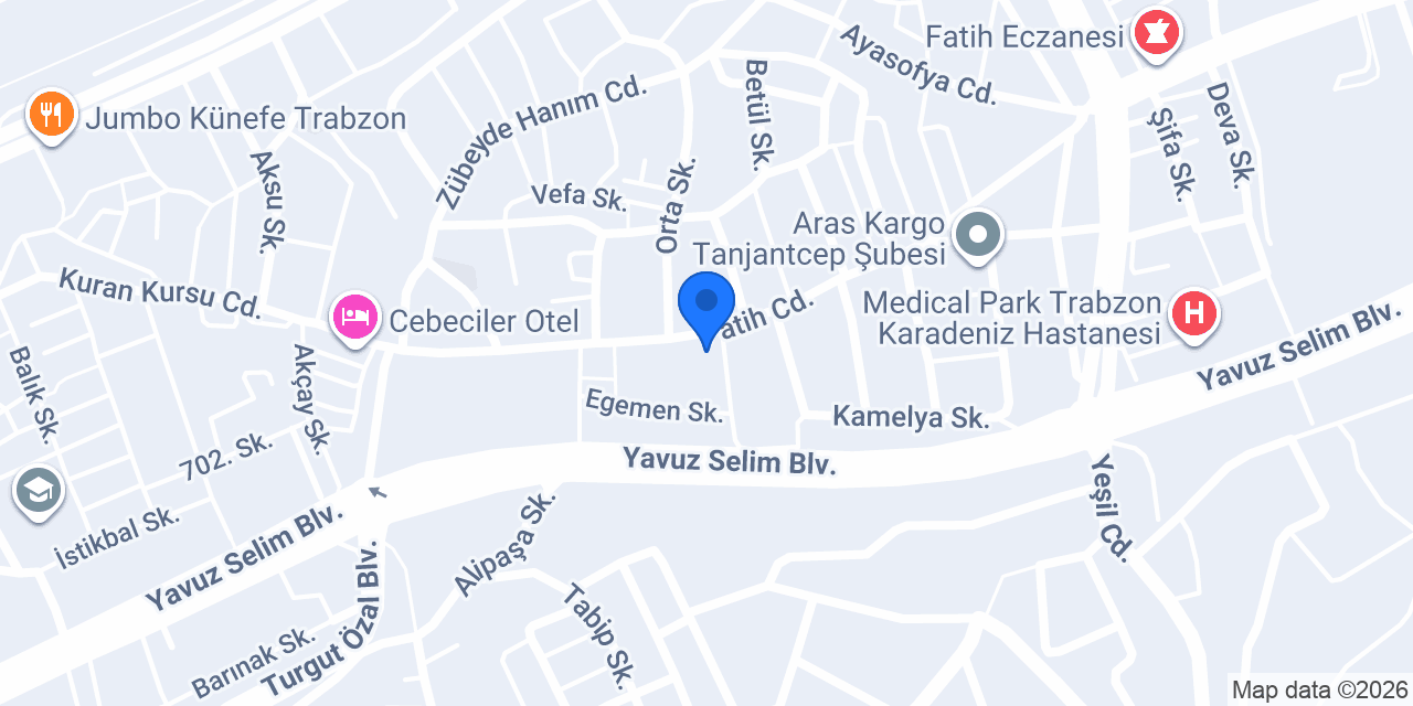 NET FİGHT LAB konumu