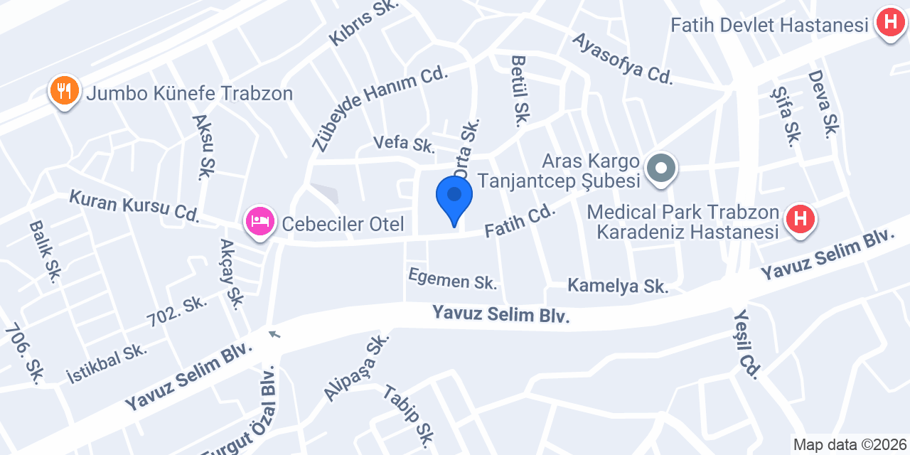 Başak Elektrik VİKO konumu