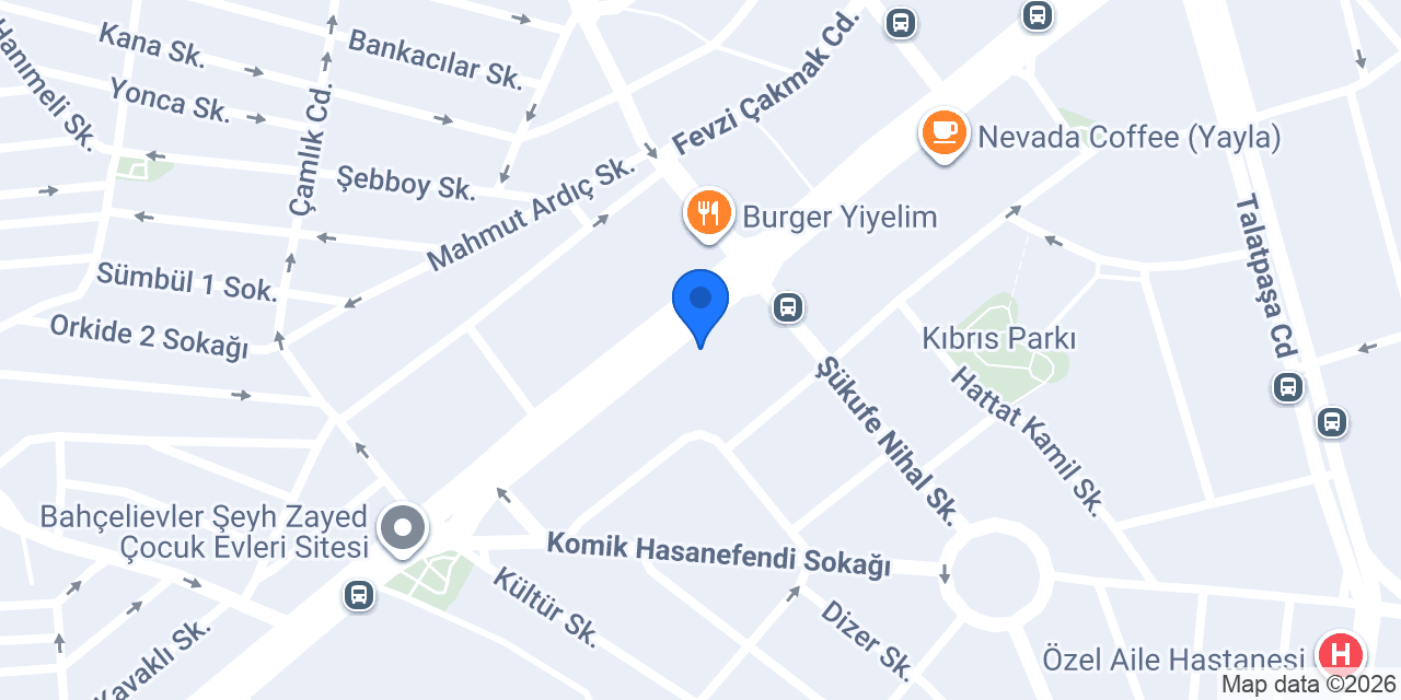Çınar Çiçek konumu