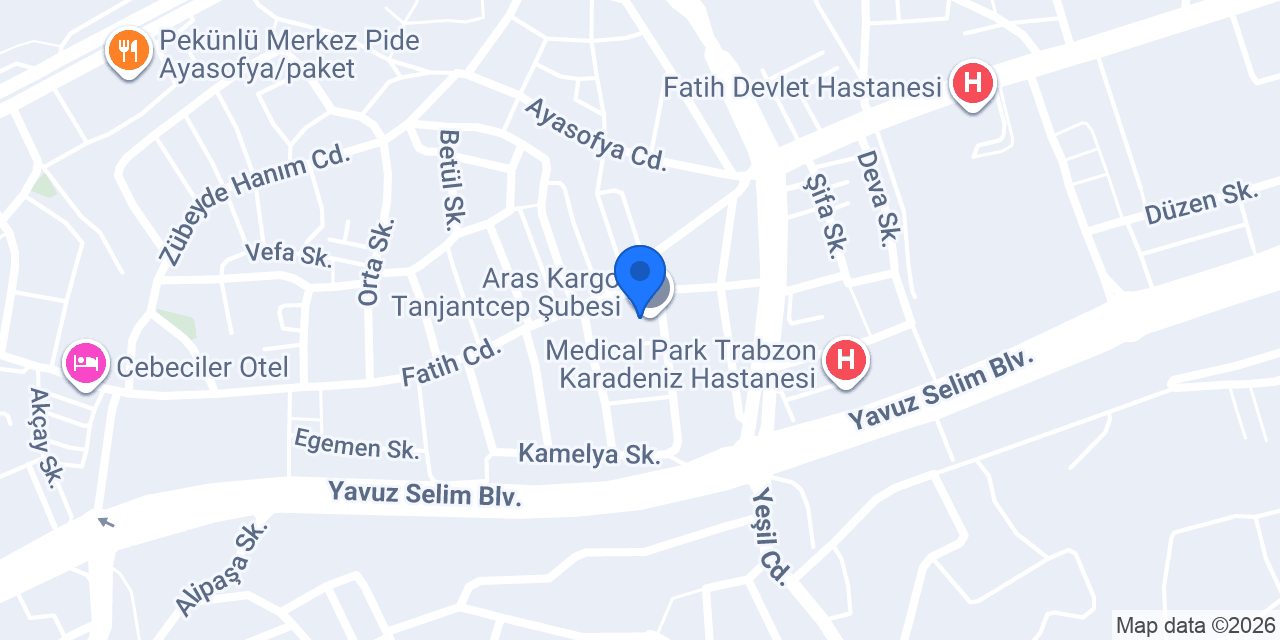 Aras Kargo Tanjantcep Şubesi konumu