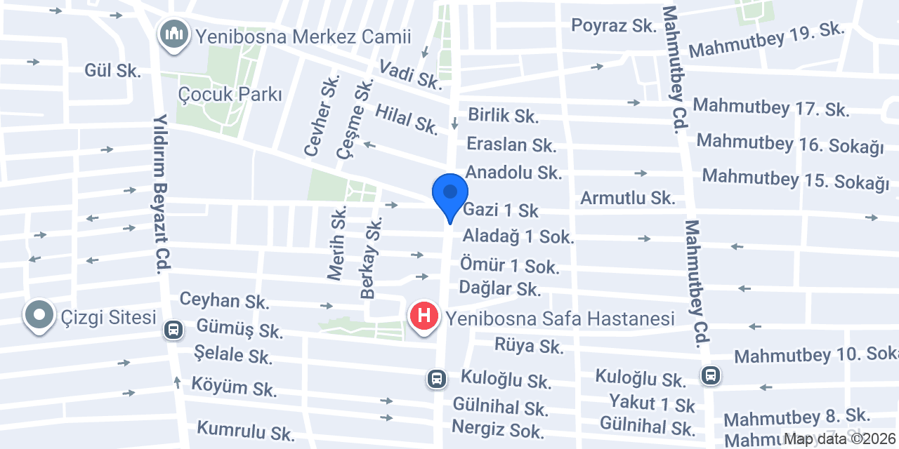Aydın Emlak konumu