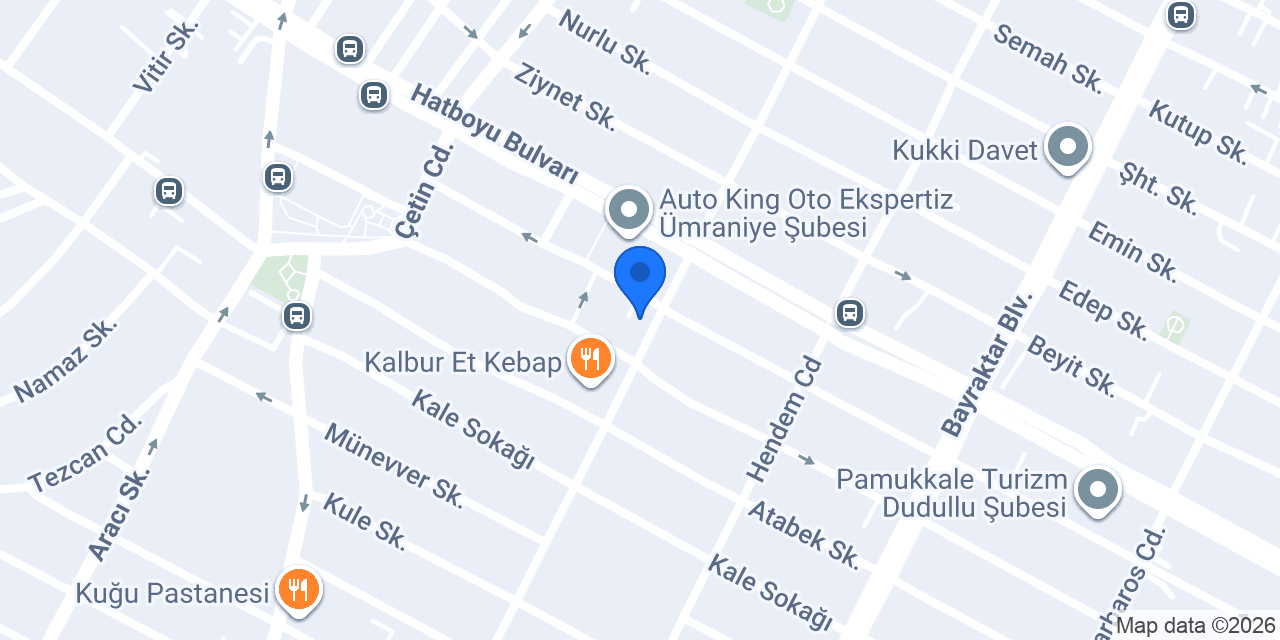 Selvi kargo konumu