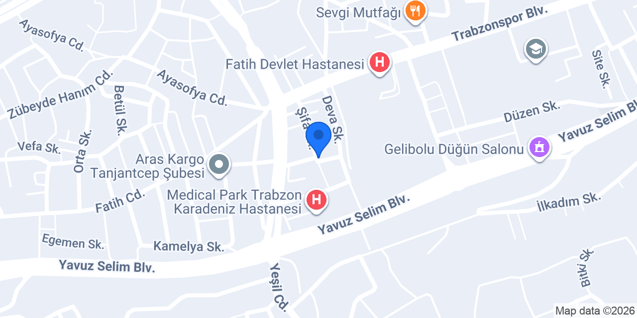 Trabzon Terzi konumu