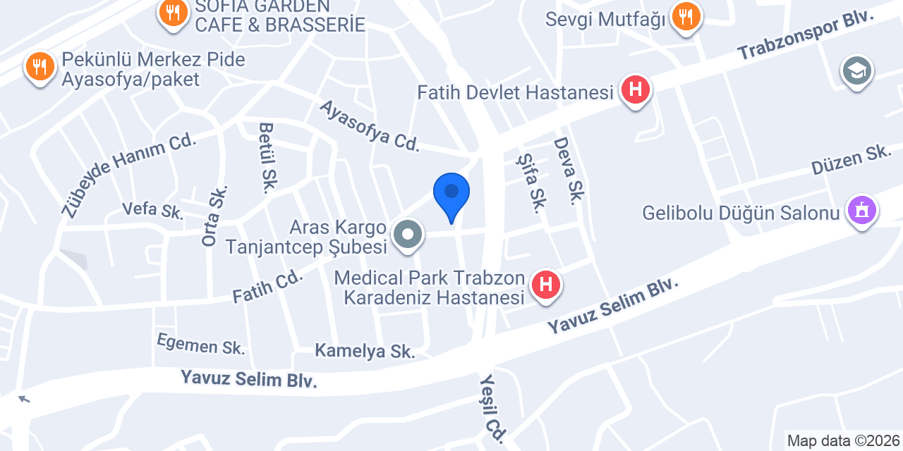 Lavin Çiçekçilik konumu