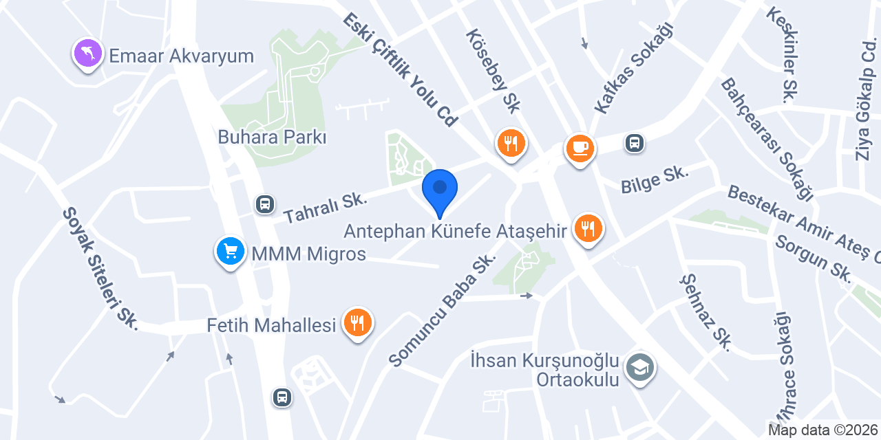 Kip Maltepe konumu