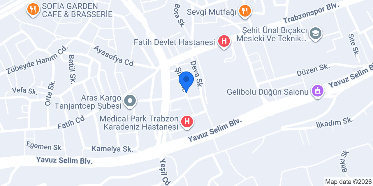 Zigana Temizlik konumu