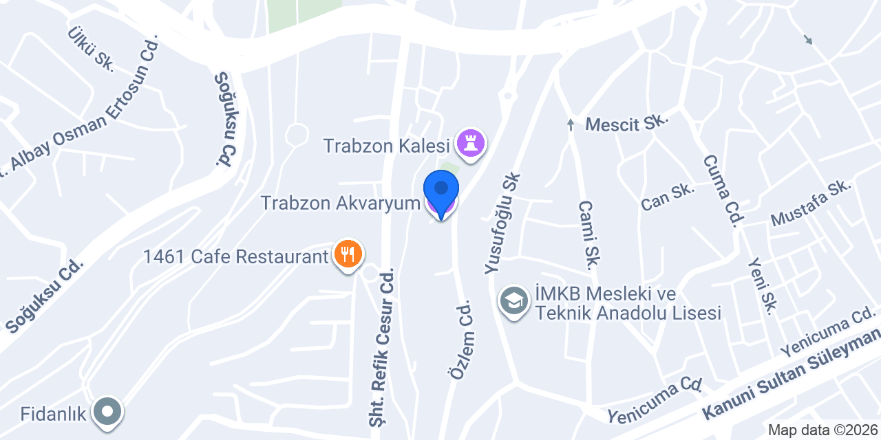 Trabzon Akvaryum konumu