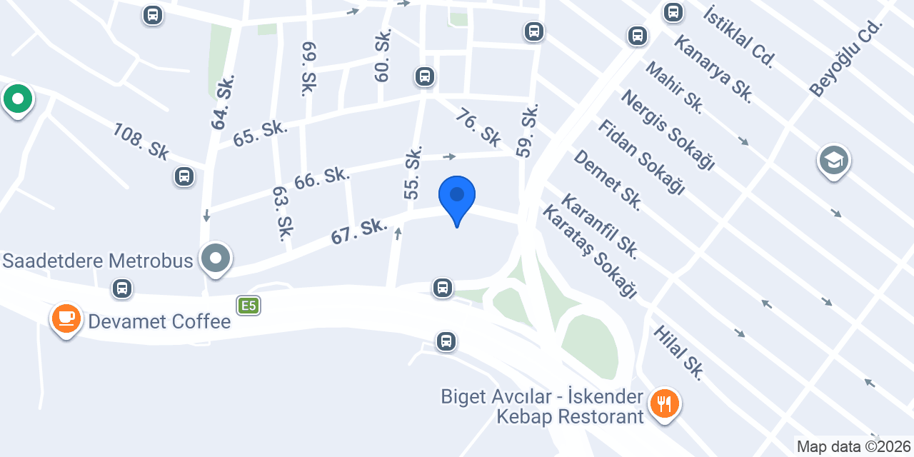 Vitale konumu