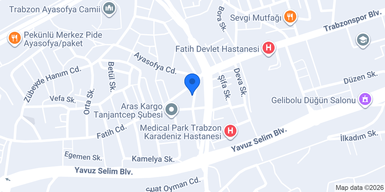 FedEx Express Yurtdışı Kargo konumu
