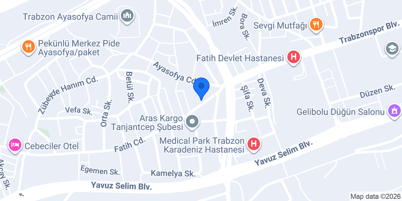 Tanjant çiçekçilik konumu