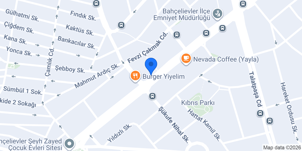BURSA aleksandır konumu