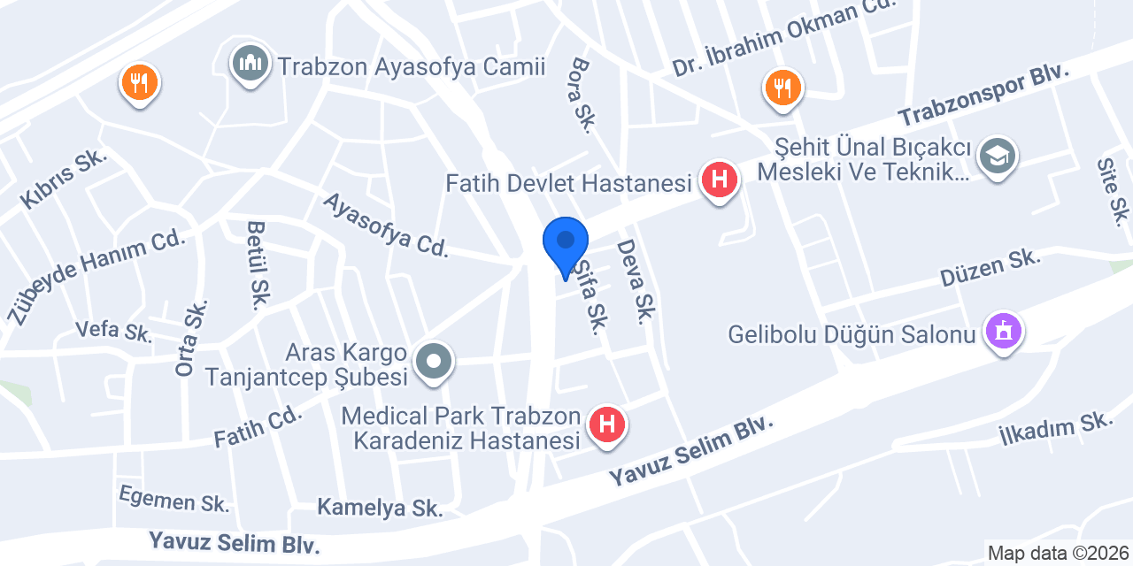 Trabzon Boyacı konumu