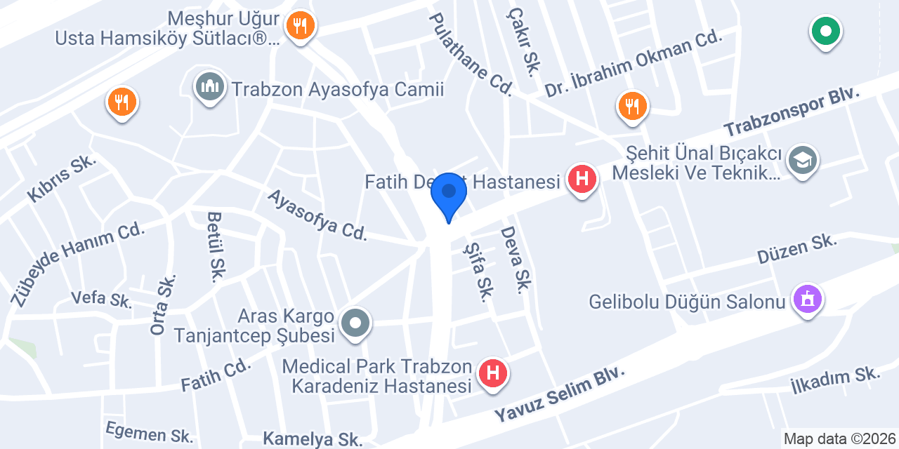 Özel Fatih Sürücü ve Operatörlük Kursu konumu