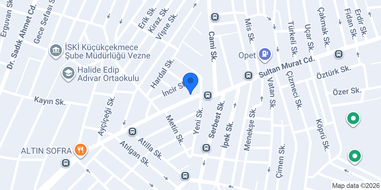 Internatıonal Dental konumu