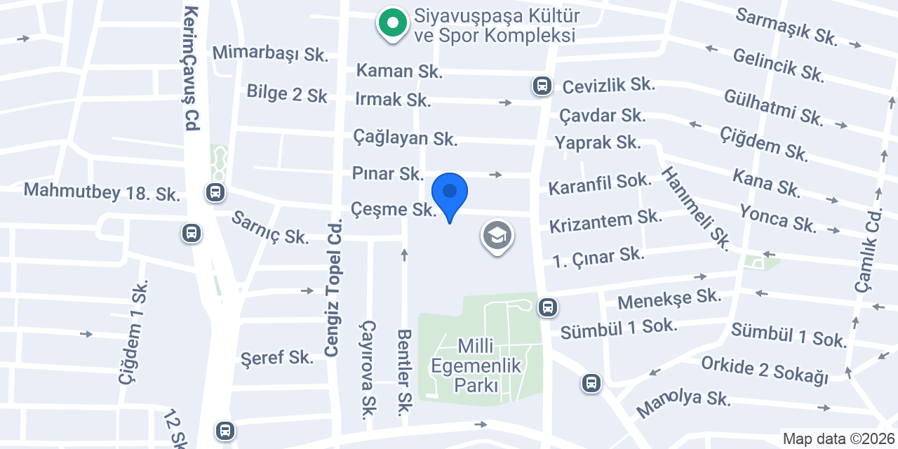 Orgeneral Eşref Bitlis Ortaokulu konumu