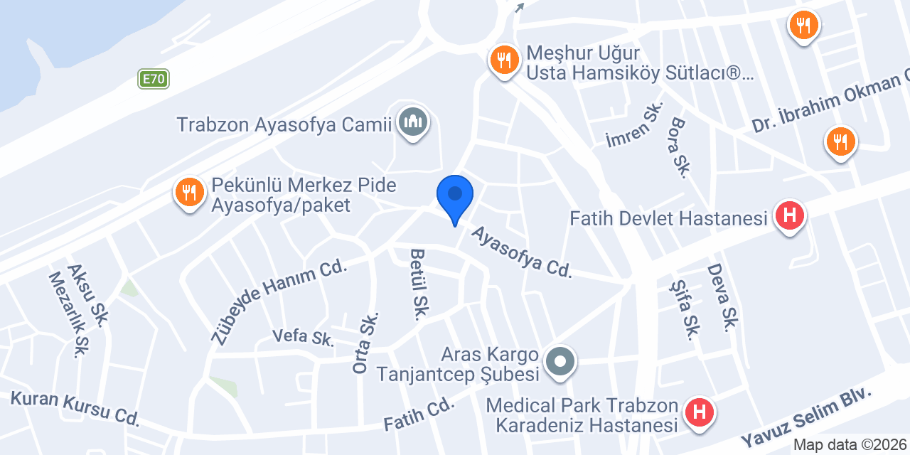 TRABZON MANOLYA TEMİZLİK konumu