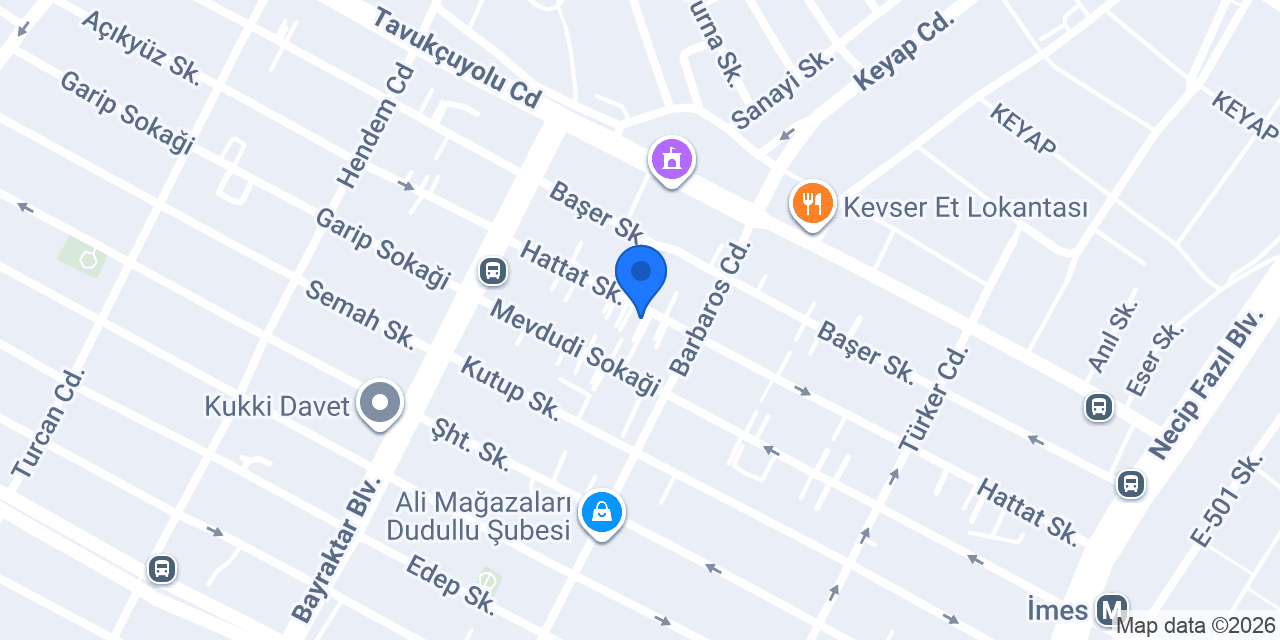 Efes Gıda Pazarlama konumu