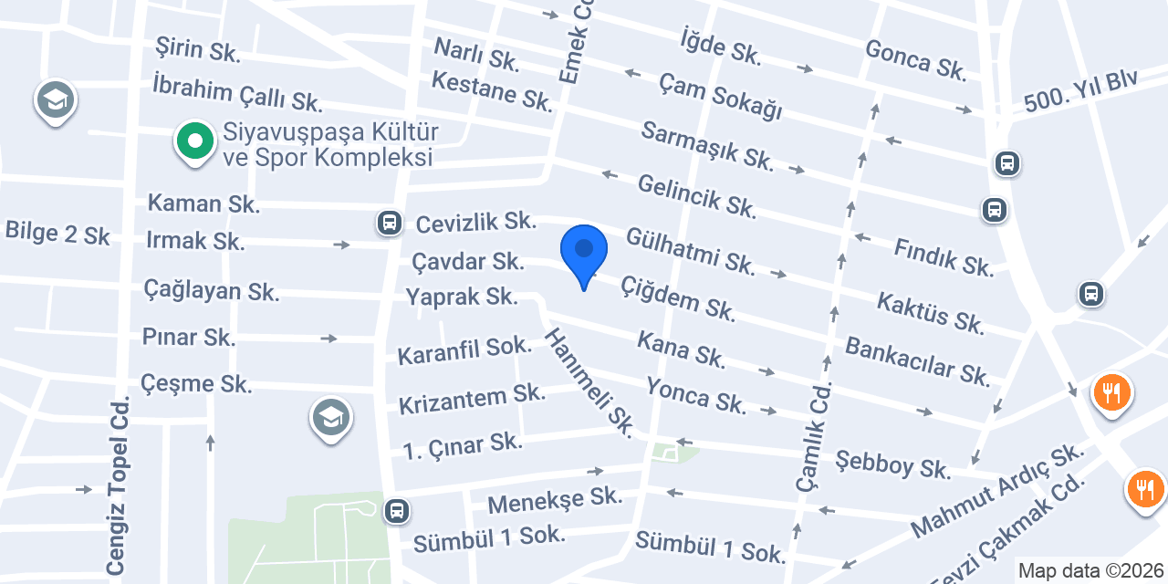 Efe Bahçıvanlık konumu