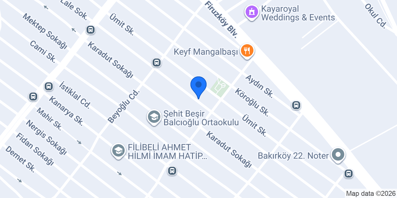 Teknik elektrik konumu