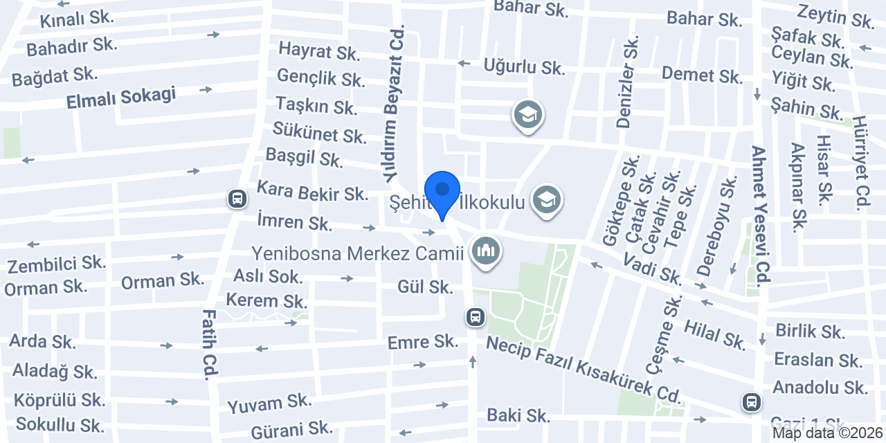 Ahi Auto Professional Care Service konumu
