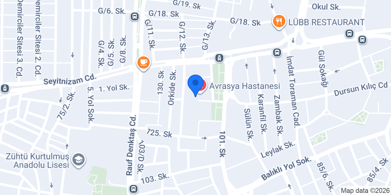 Avrasya Obesity konumu