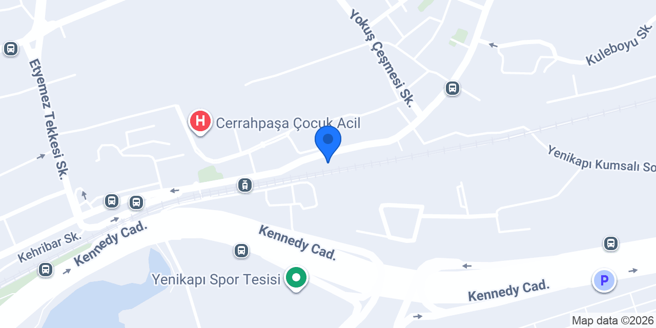 Mavi Halı Yıkama konumu