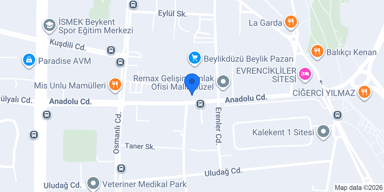 Pidella konumu