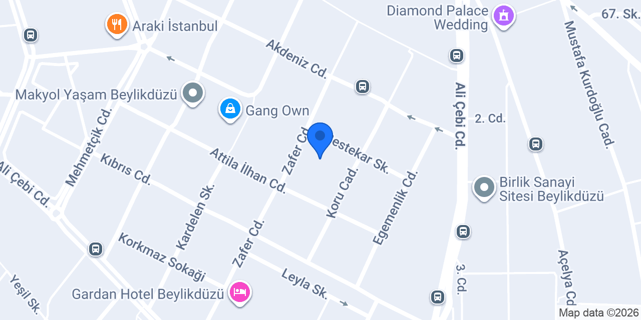TERZİ HALLEDERİZ konumu