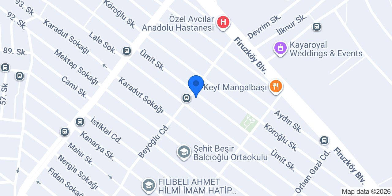 PİNK TULİP ÇİÇEKÇİLİK konumu