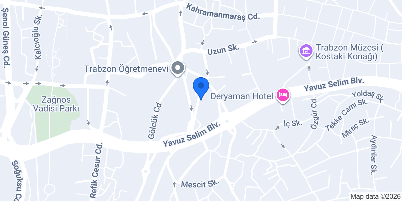 VİZYON AUTO konumu