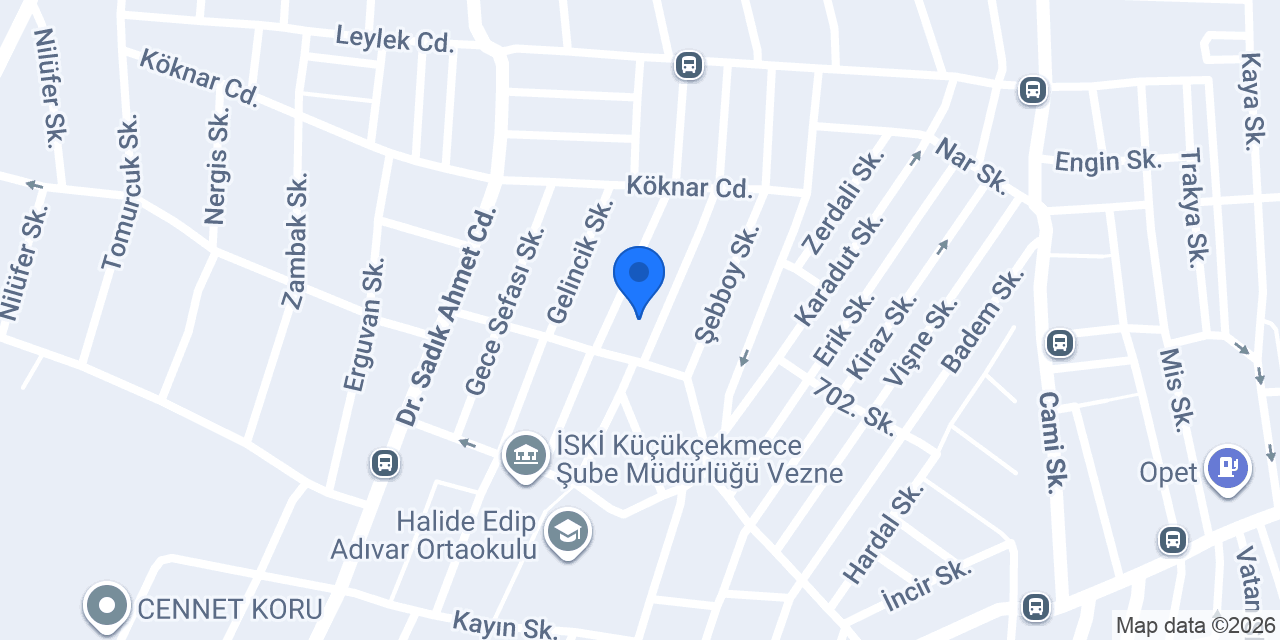 Balkos konumu